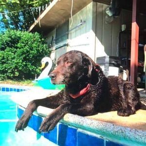 Meet your Posher, James